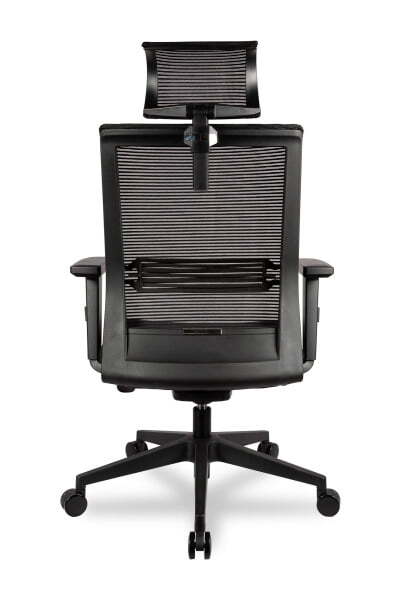 College CLG-433 MBN-A Black